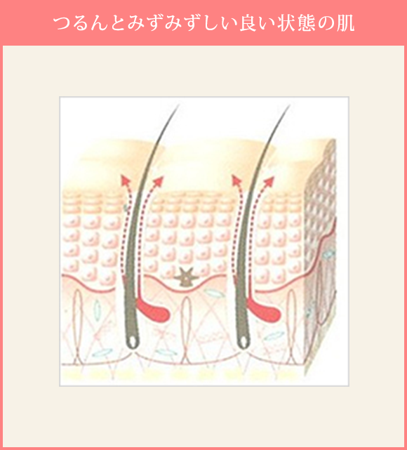 つるんとみずみずしい良い状態の肌